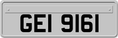GEI9161