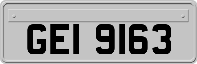 GEI9163
