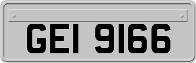 GEI9166