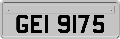 GEI9175