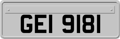 GEI9181
