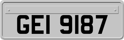 GEI9187