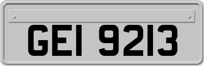 GEI9213
