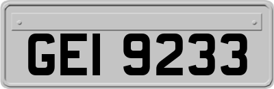 GEI9233