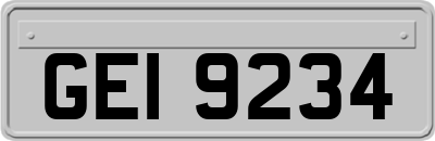 GEI9234