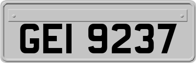 GEI9237