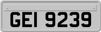 GEI9239