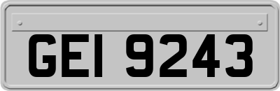GEI9243