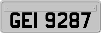 GEI9287