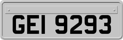 GEI9293