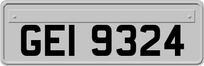 GEI9324