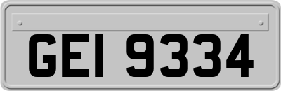 GEI9334
