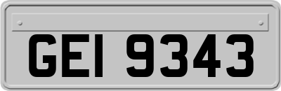 GEI9343