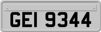 GEI9344