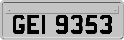 GEI9353