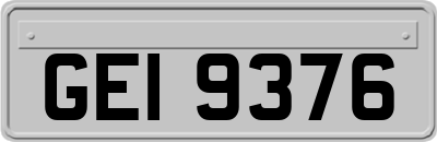 GEI9376
