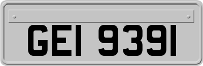 GEI9391