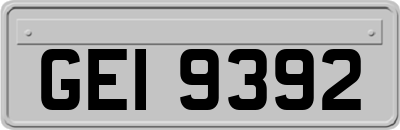 GEI9392