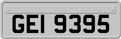 GEI9395