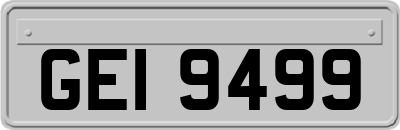 GEI9499