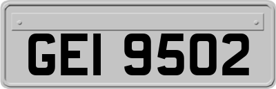 GEI9502