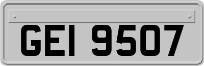 GEI9507