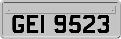 GEI9523