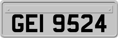 GEI9524