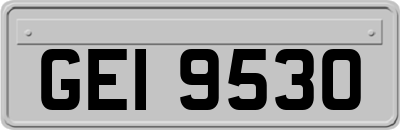 GEI9530