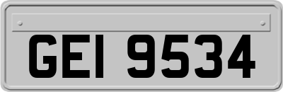 GEI9534