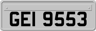 GEI9553