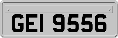 GEI9556