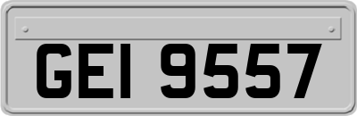 GEI9557