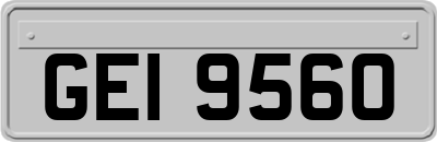 GEI9560