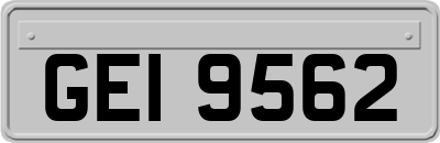 GEI9562