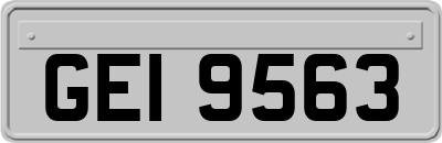 GEI9563
