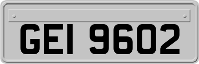 GEI9602