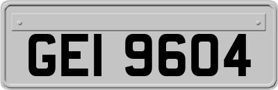 GEI9604