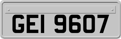 GEI9607