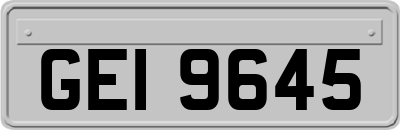 GEI9645