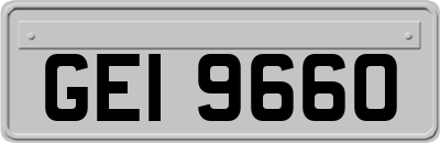 GEI9660