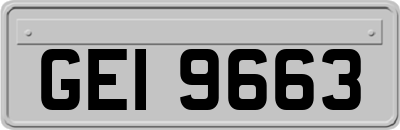 GEI9663