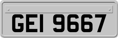 GEI9667