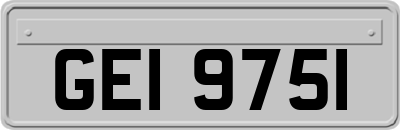 GEI9751