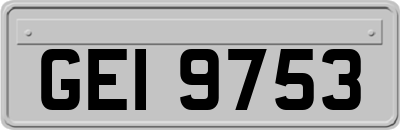 GEI9753