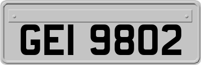GEI9802