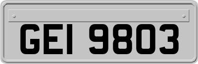 GEI9803