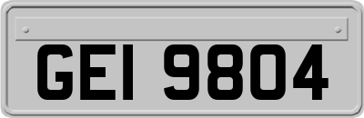 GEI9804