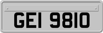 GEI9810
