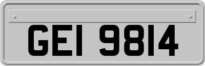 GEI9814